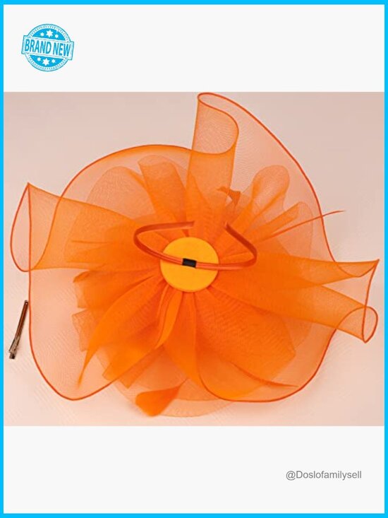 Fascinator Hat Headband Wedding Cocktail Mesh Feathers Hair Clip Floral Elegant